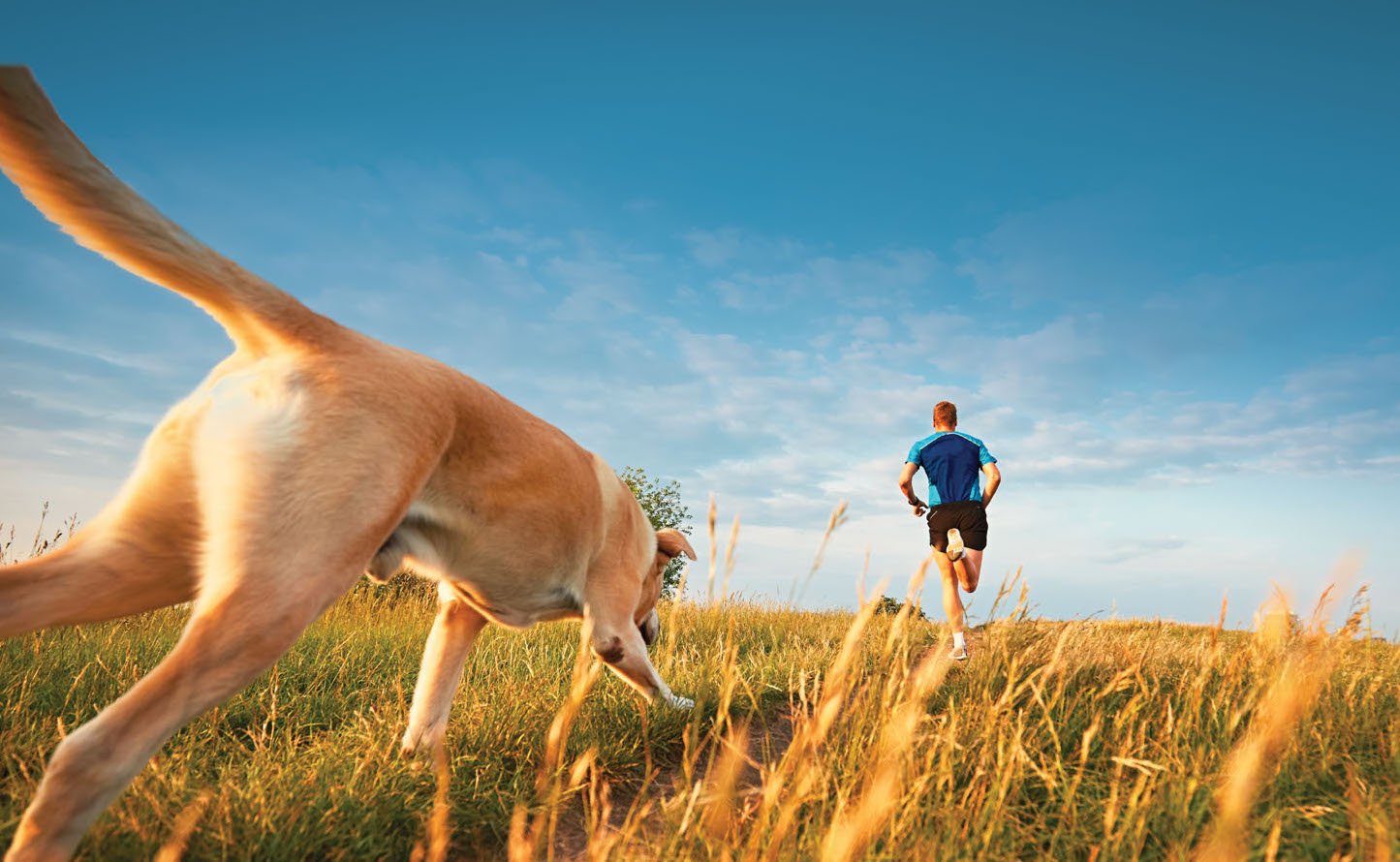 Runner with Dog