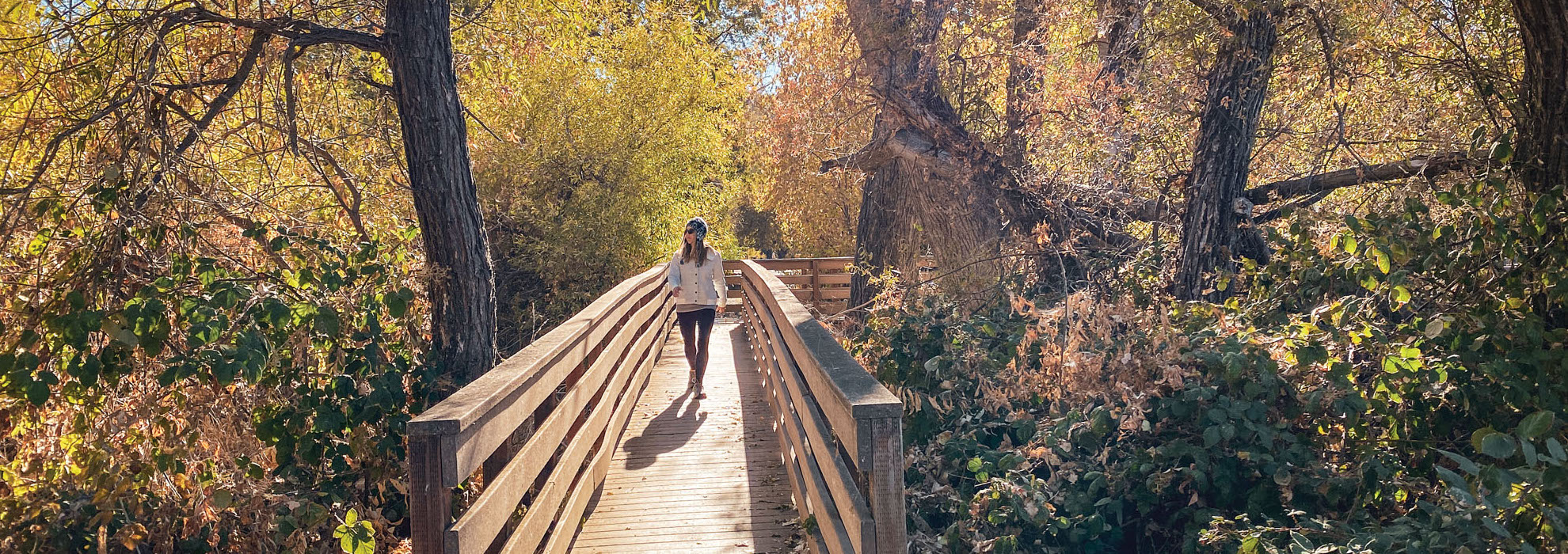 Hike in Woods