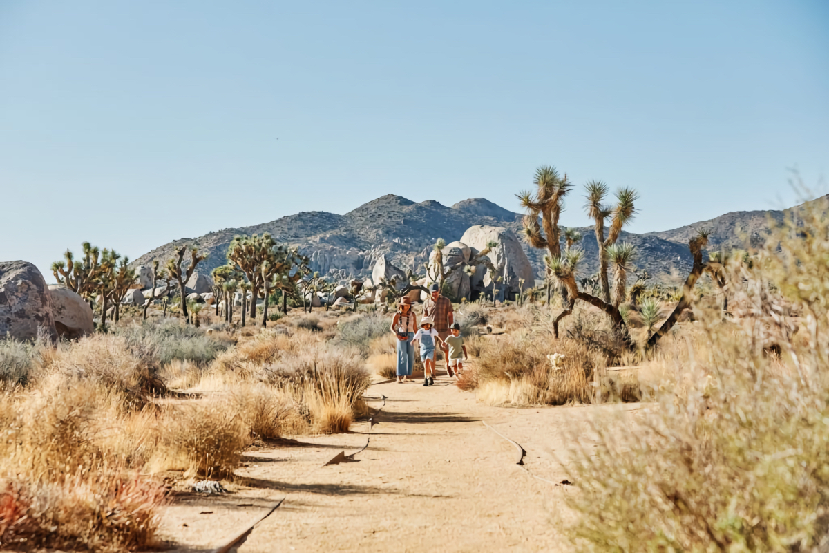 AutoCamp Joshua Tree