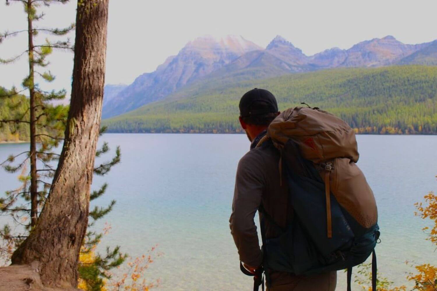 hiking bowman lake trail