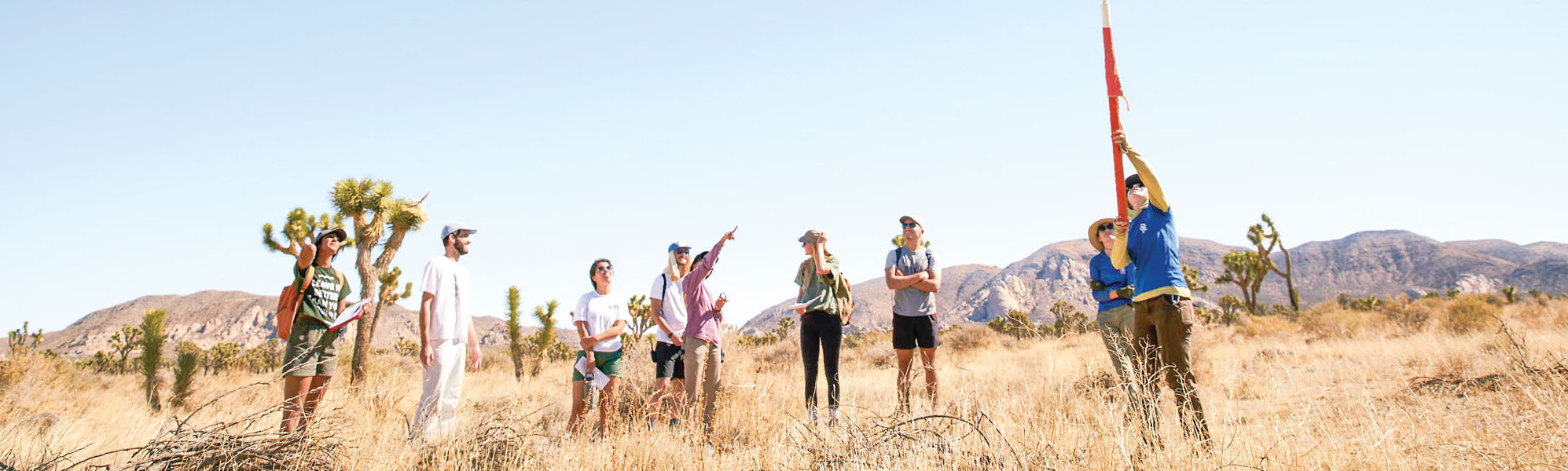 Parks Project Joshua Tree Team