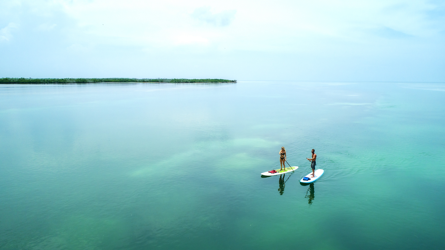 A couple paddleboarding