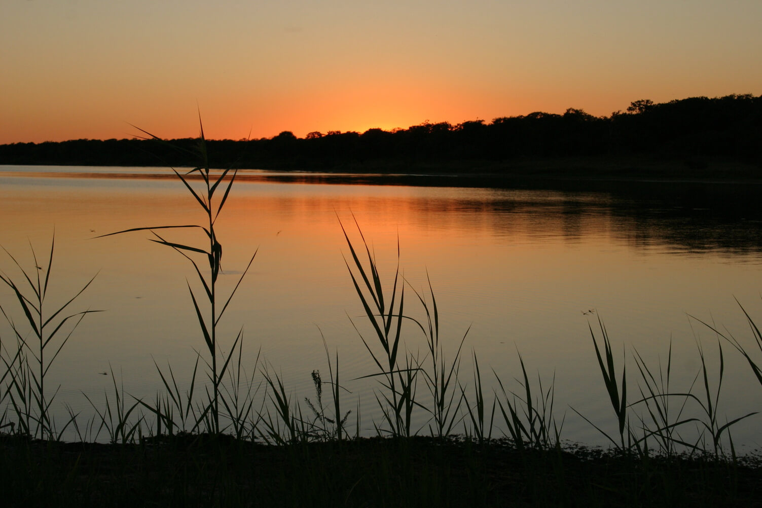 lake-somerville-kayakers-road-trip-guide-01-2022 