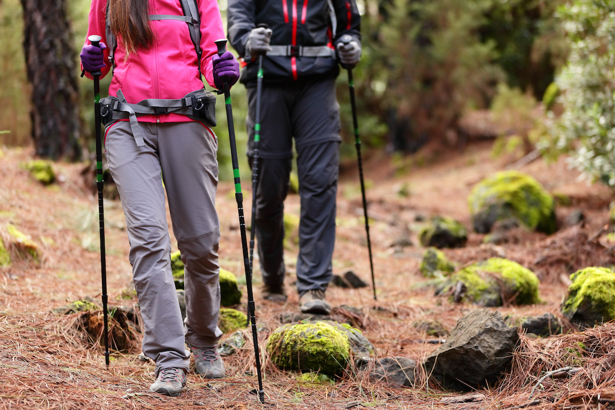 best trekking poles