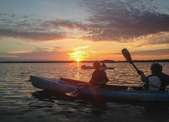 Tarpon Bay Explorers