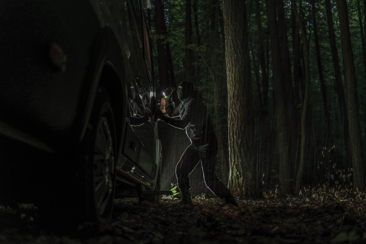 RV safes and lockboxes