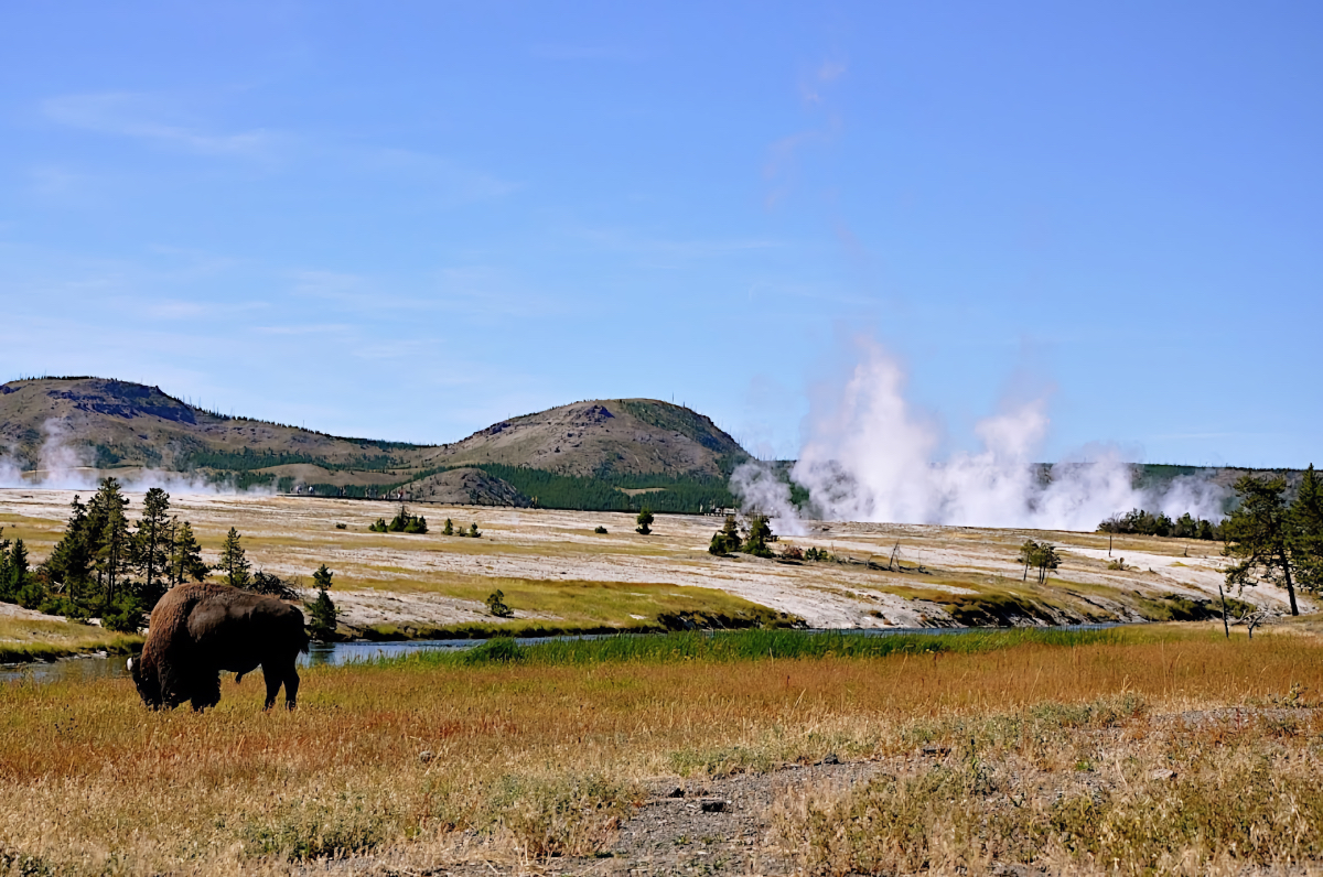 Yellowstone Inheritance Pass