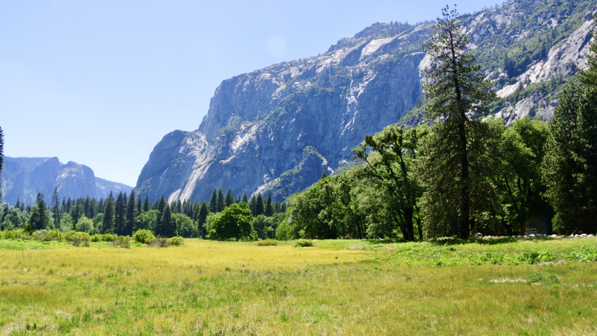 Yosemite reservation system