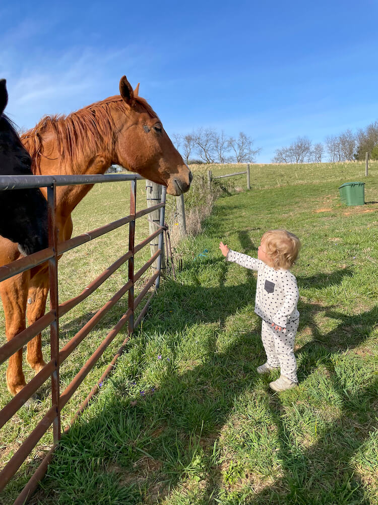 Child Saying Hi to Horse-harvest-hosts-06-2022