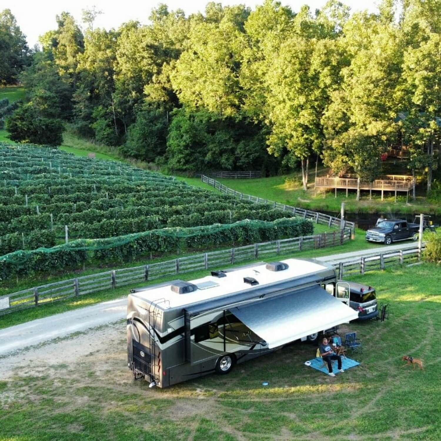 Twisted-Vine-Family-Vineyard-harvest-hosts-06-2022