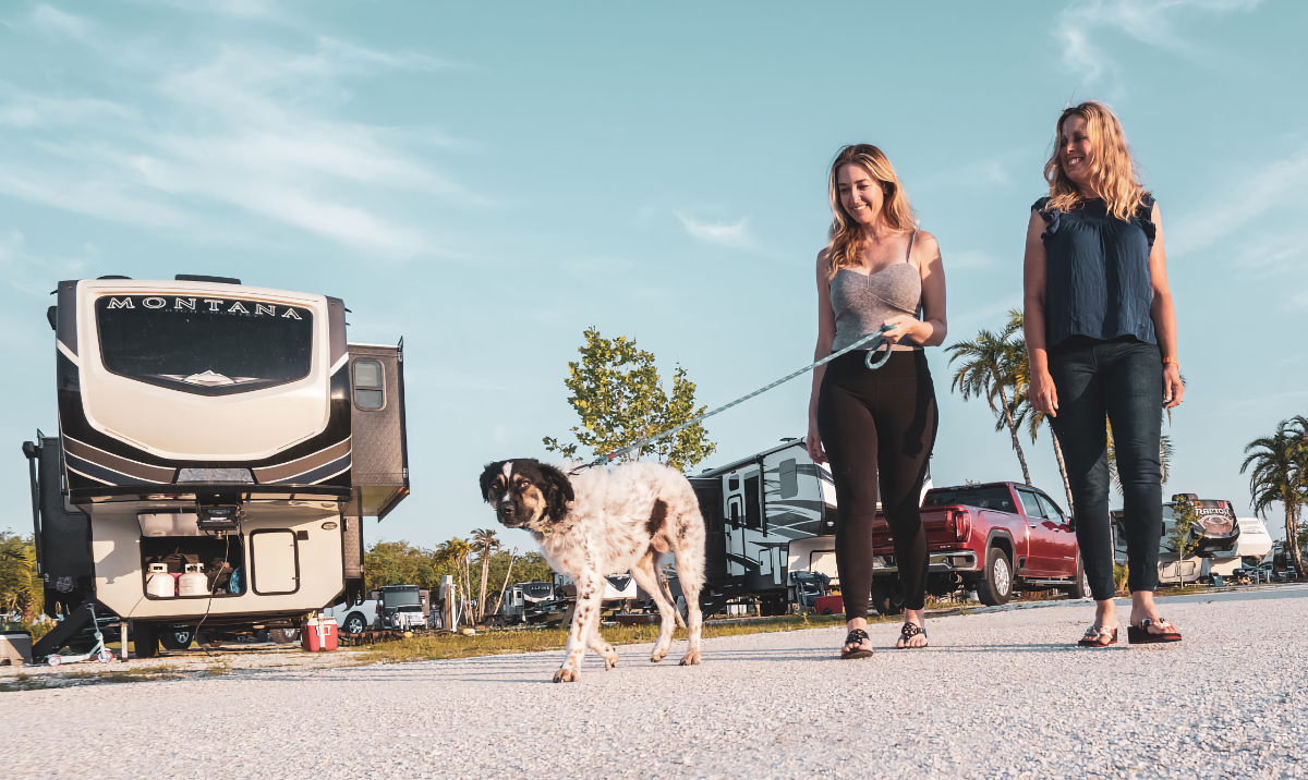 RVing with dogs