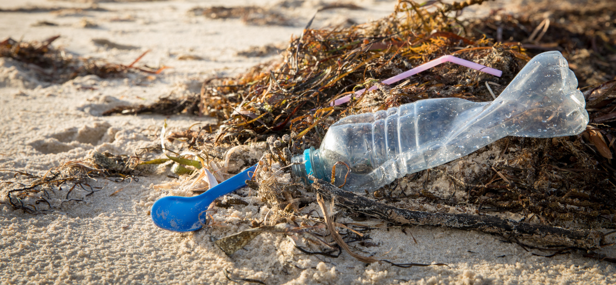 national parks ban single-use plastics