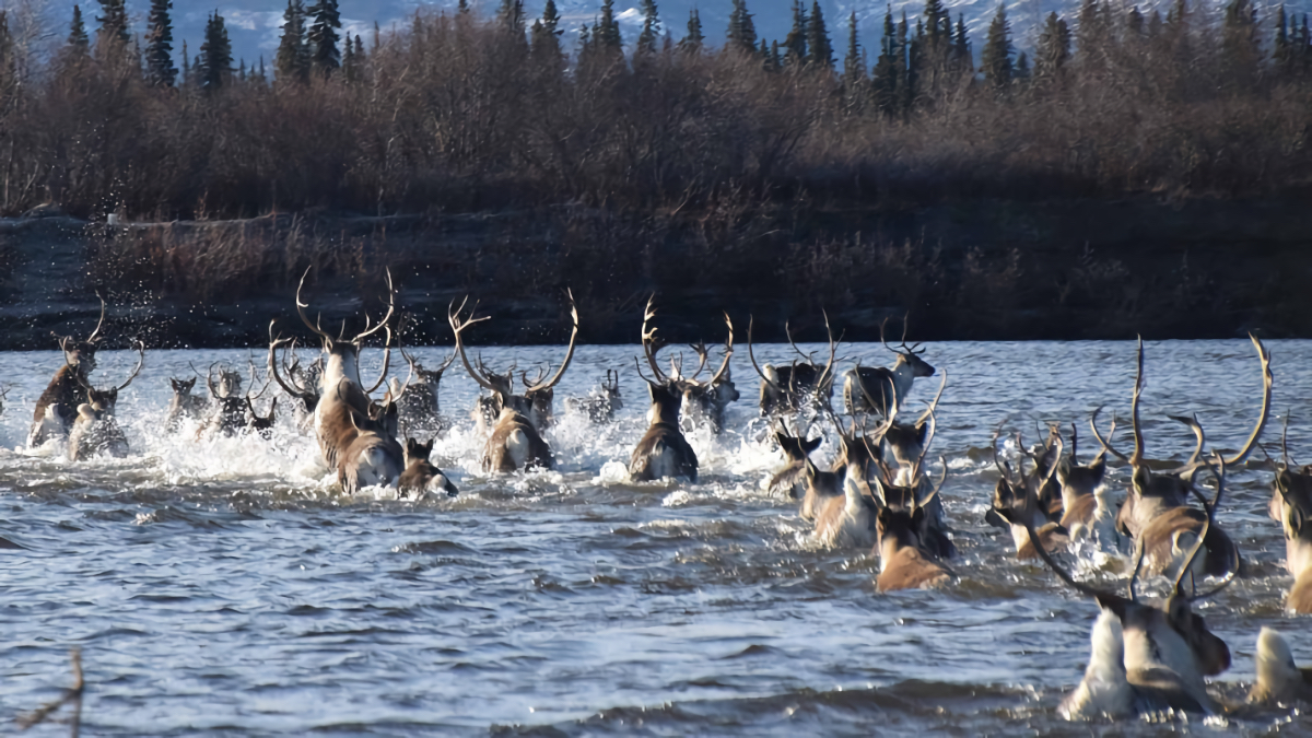 remote national parks