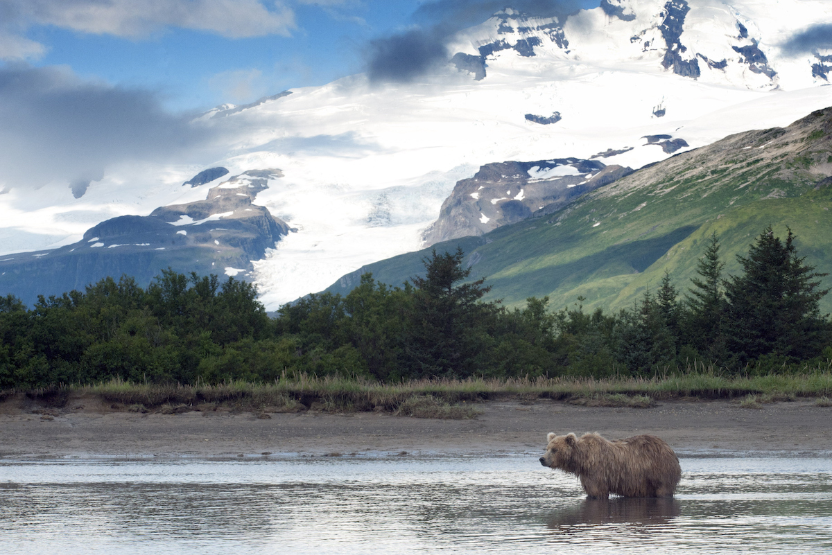 best places to spot wildlife