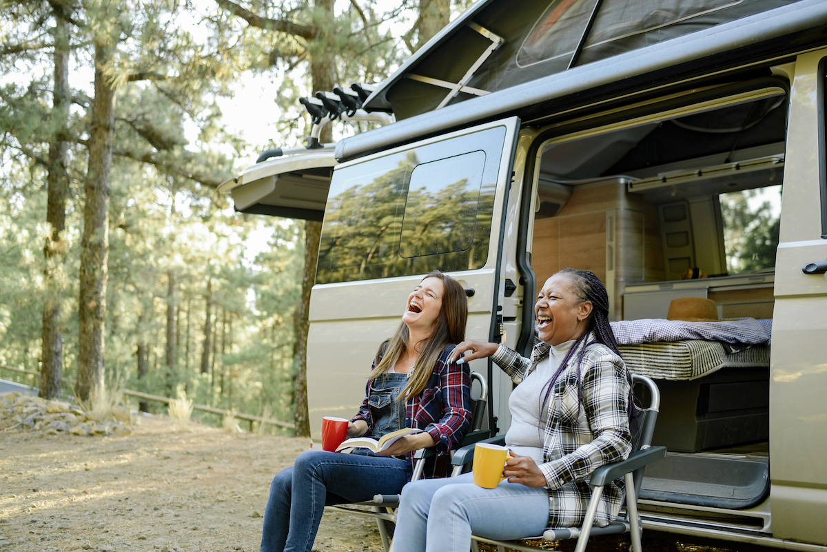 rving demographics