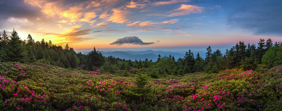 Spacious Skies Campgrounds Spring Bloom Trail