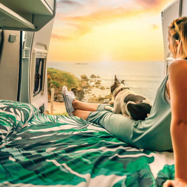 Full-Time RVing with Dogs