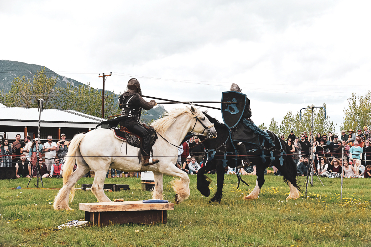 rv renaissance festival