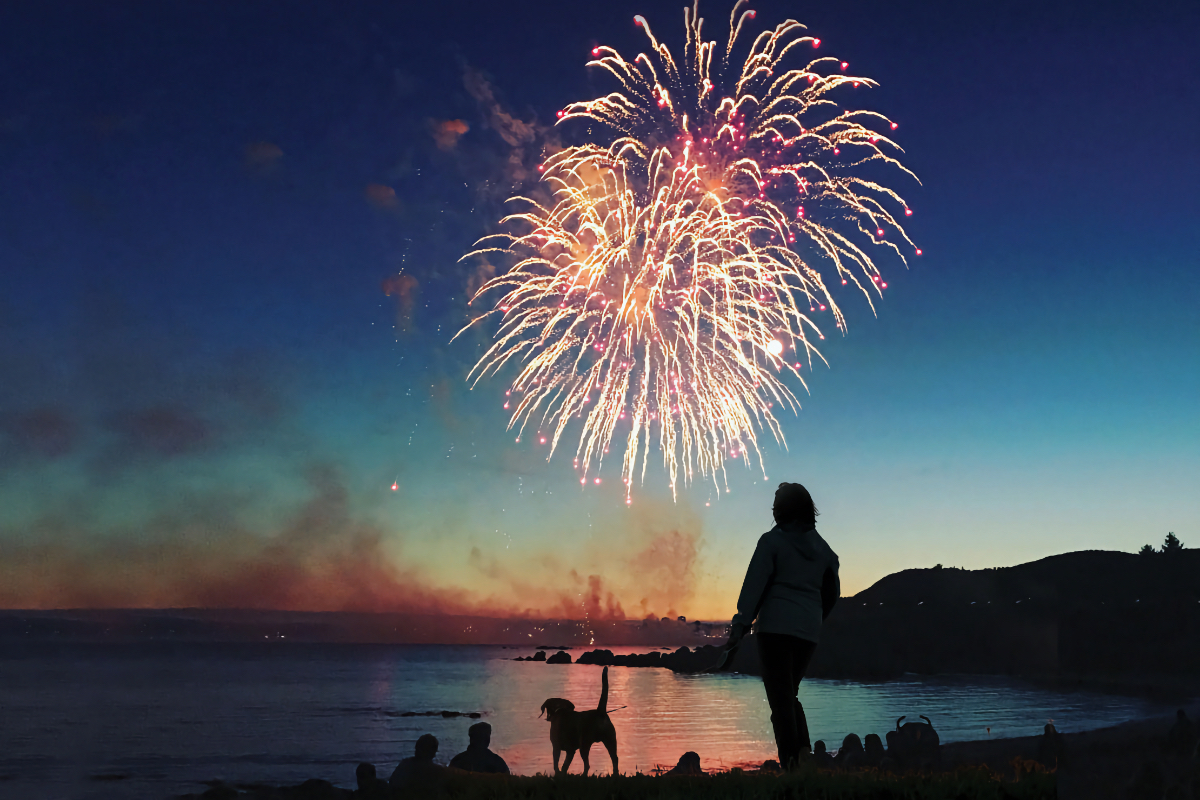 dogs and fireworks