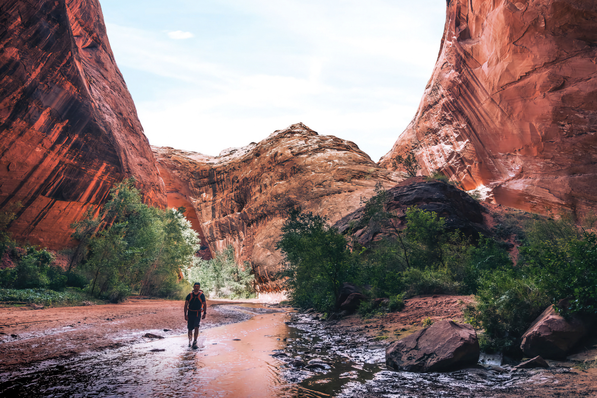 hiking for fitness