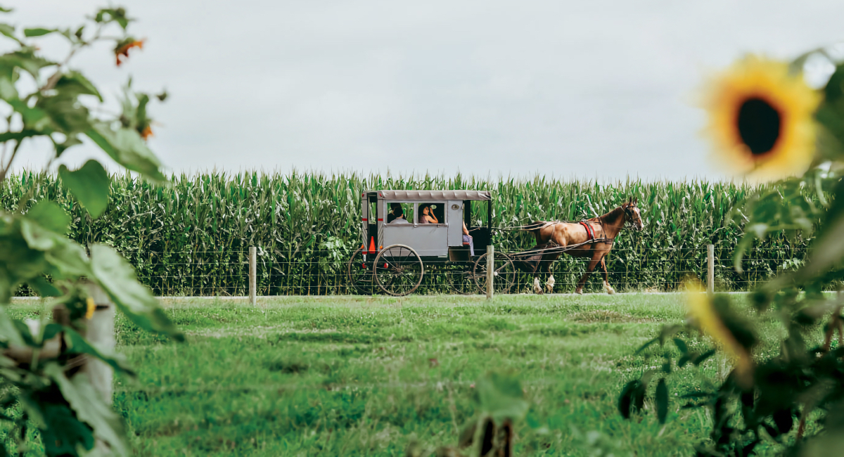 Pennsylvania Dutch Country