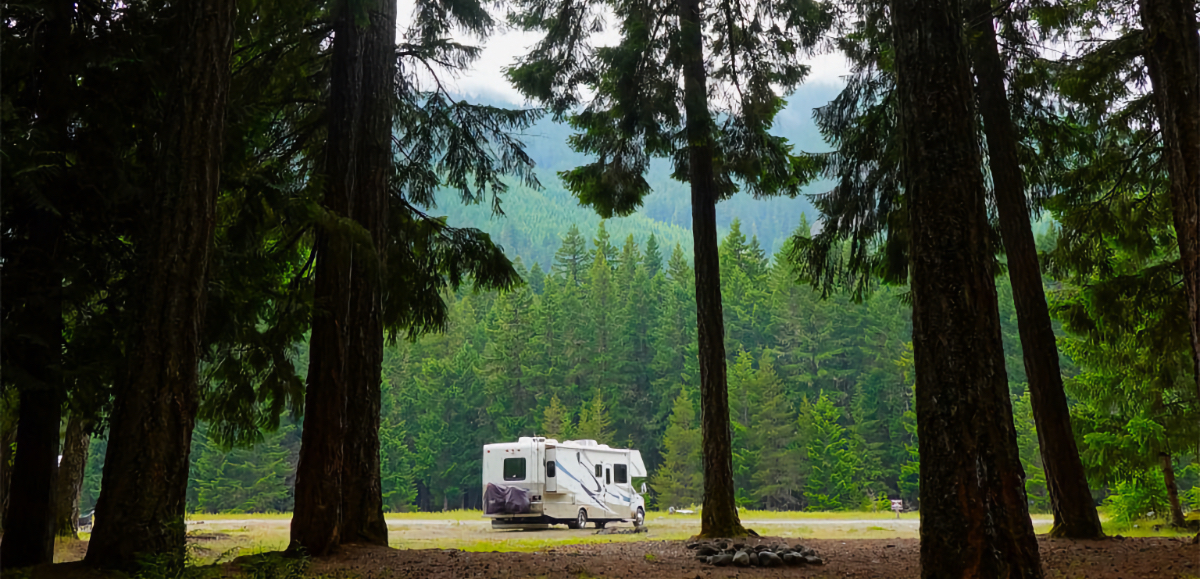 rv camping national forests