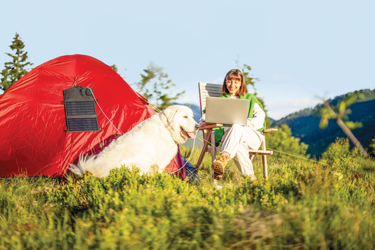 working remotely with dogs