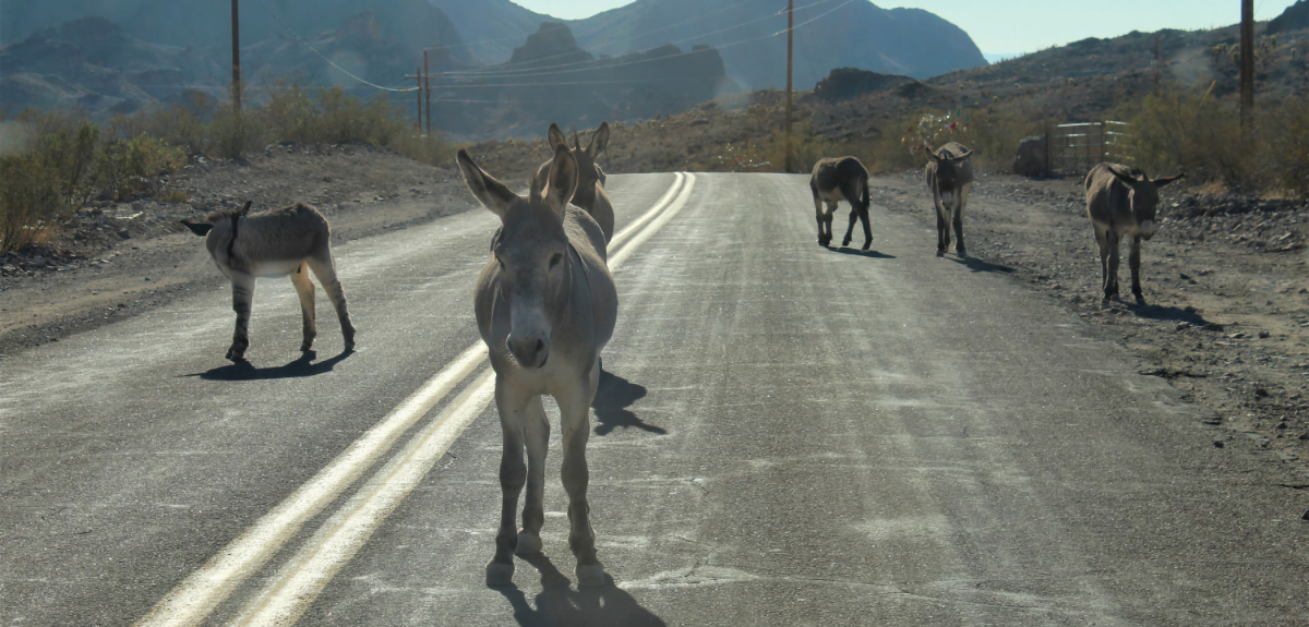 Arizona ghost towns