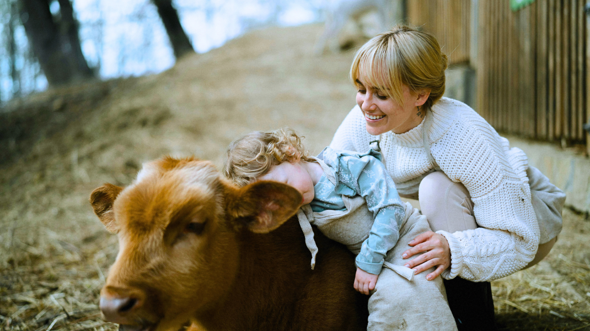 Harvest Hosts cow cuddling