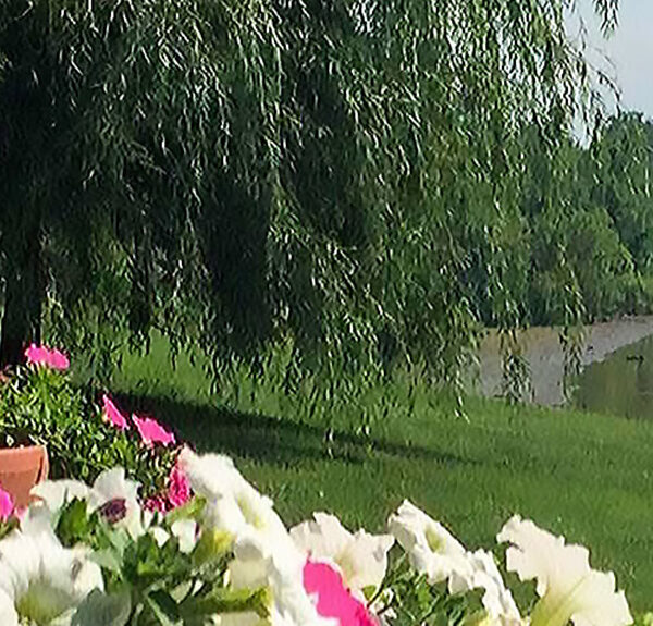 Rising Star Casino Resort