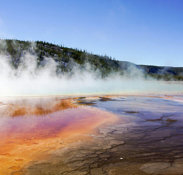 Road Trip Yellowstone National Park