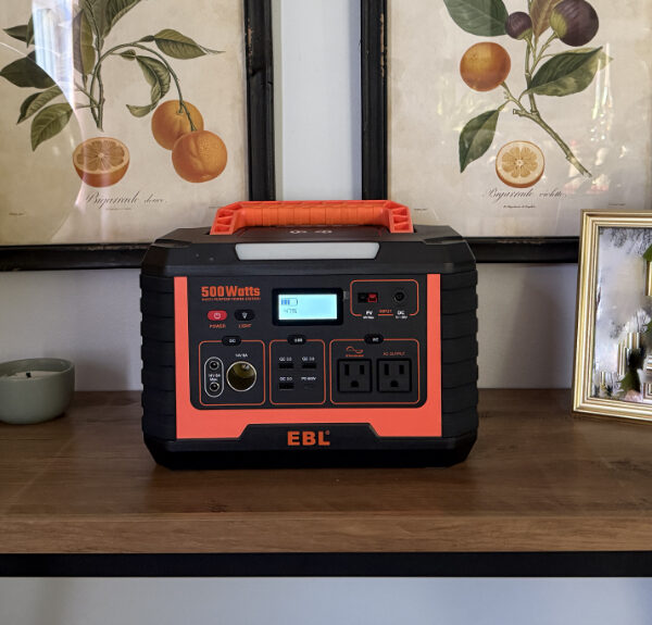 EBL power station review