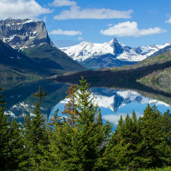 National Park Visitation