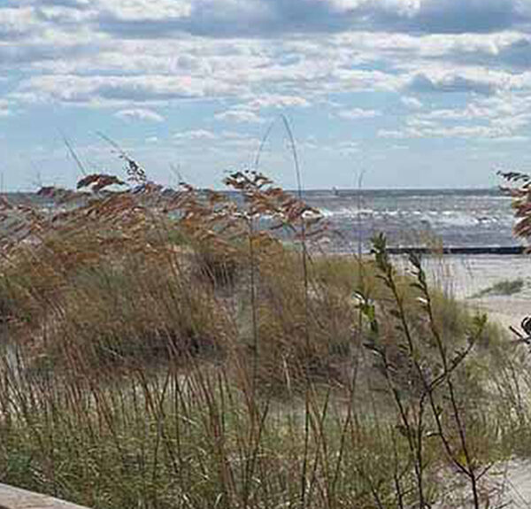 A view of the ocean as seen from dunes on the shore.