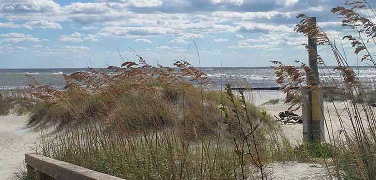 A view of the ocean as seen from dunes on the shore.