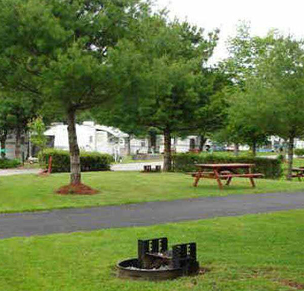 A lush green campground.