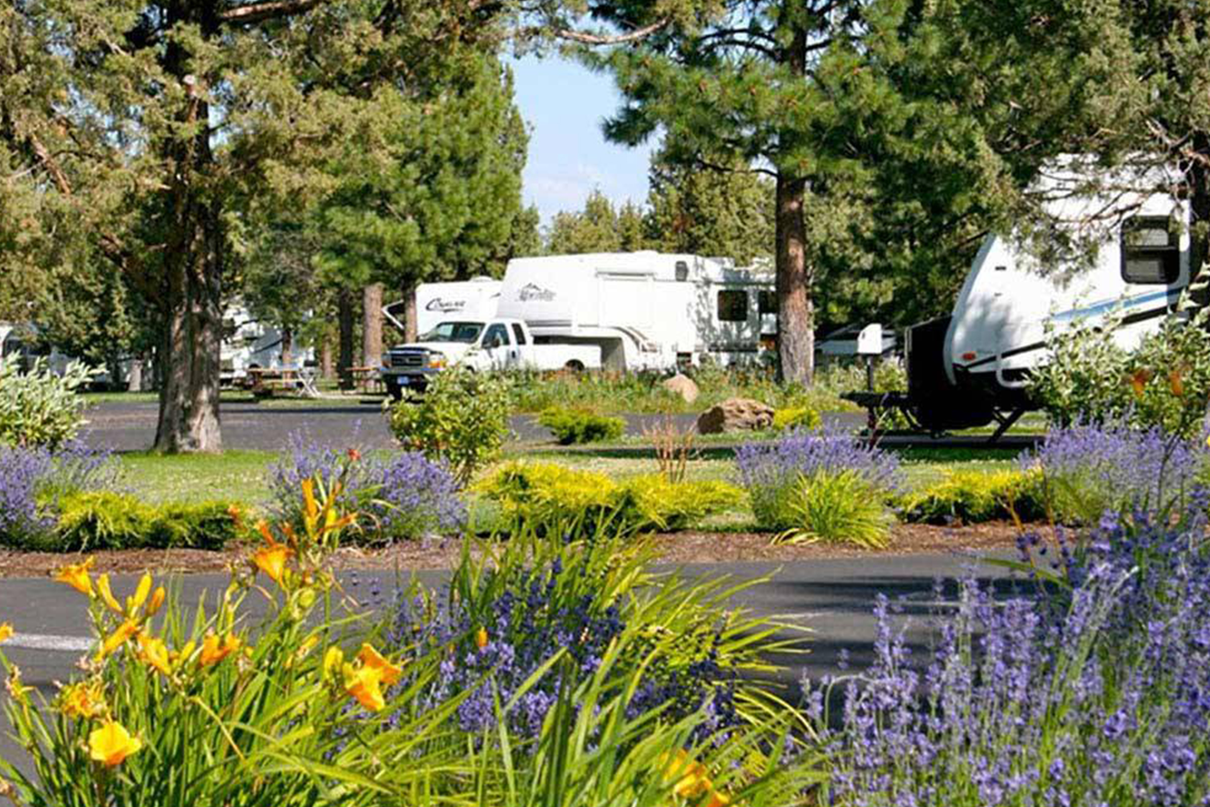 Flower lined RV resort
