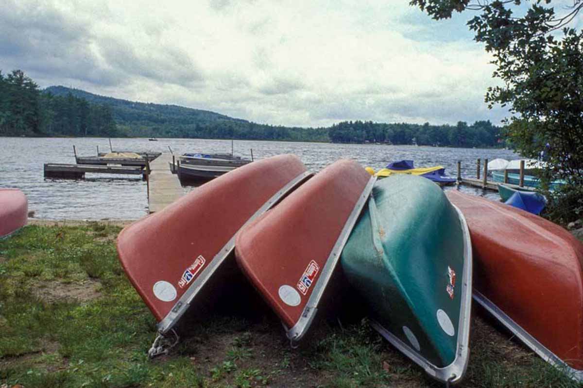 Canoes near a lakeshore.