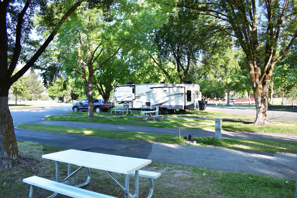 RVs under shade.