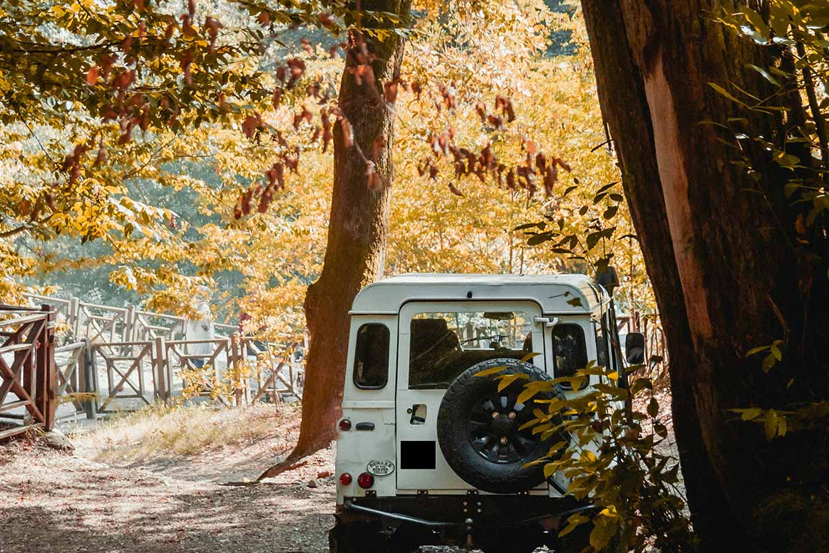 Jaap parked under golden leaves.