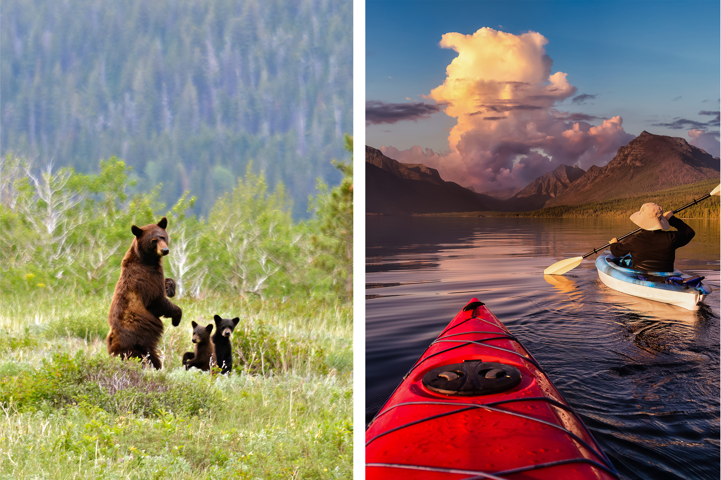 Bears and kayaking
