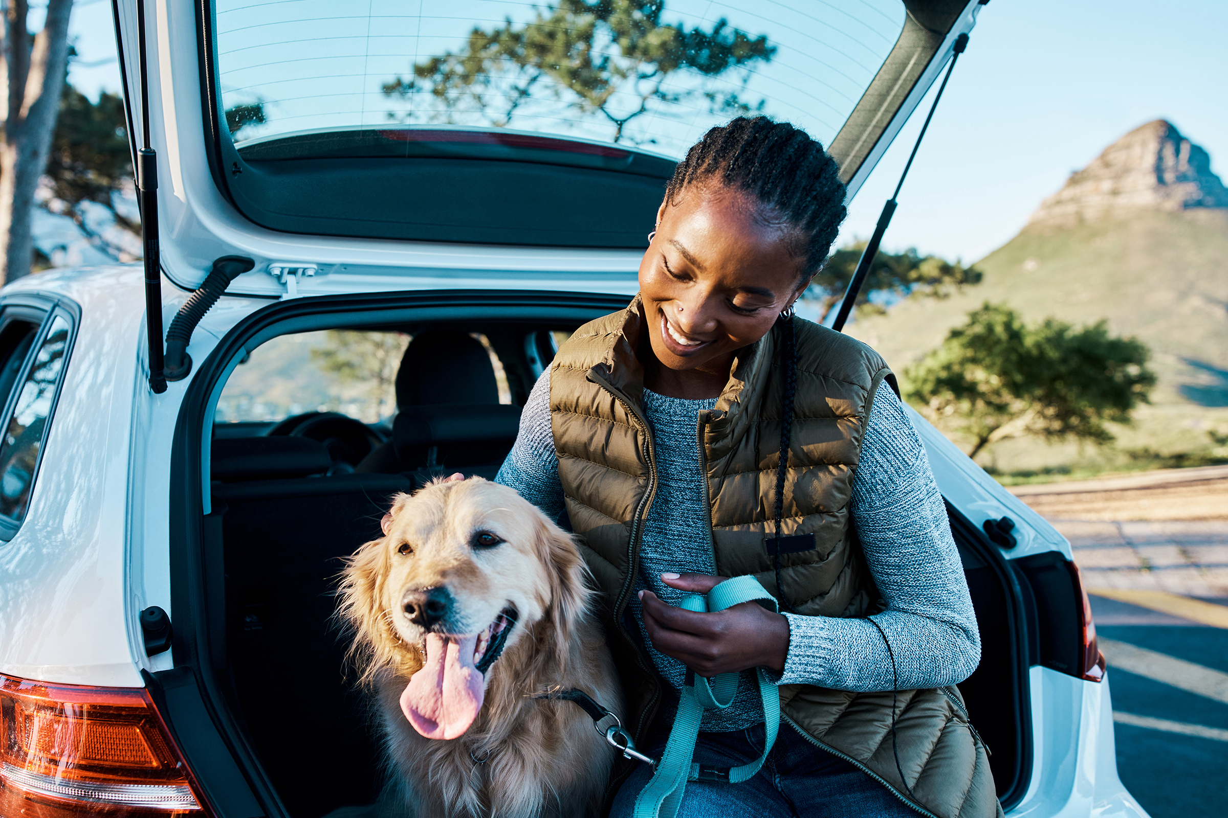 Dog and owner on the road.