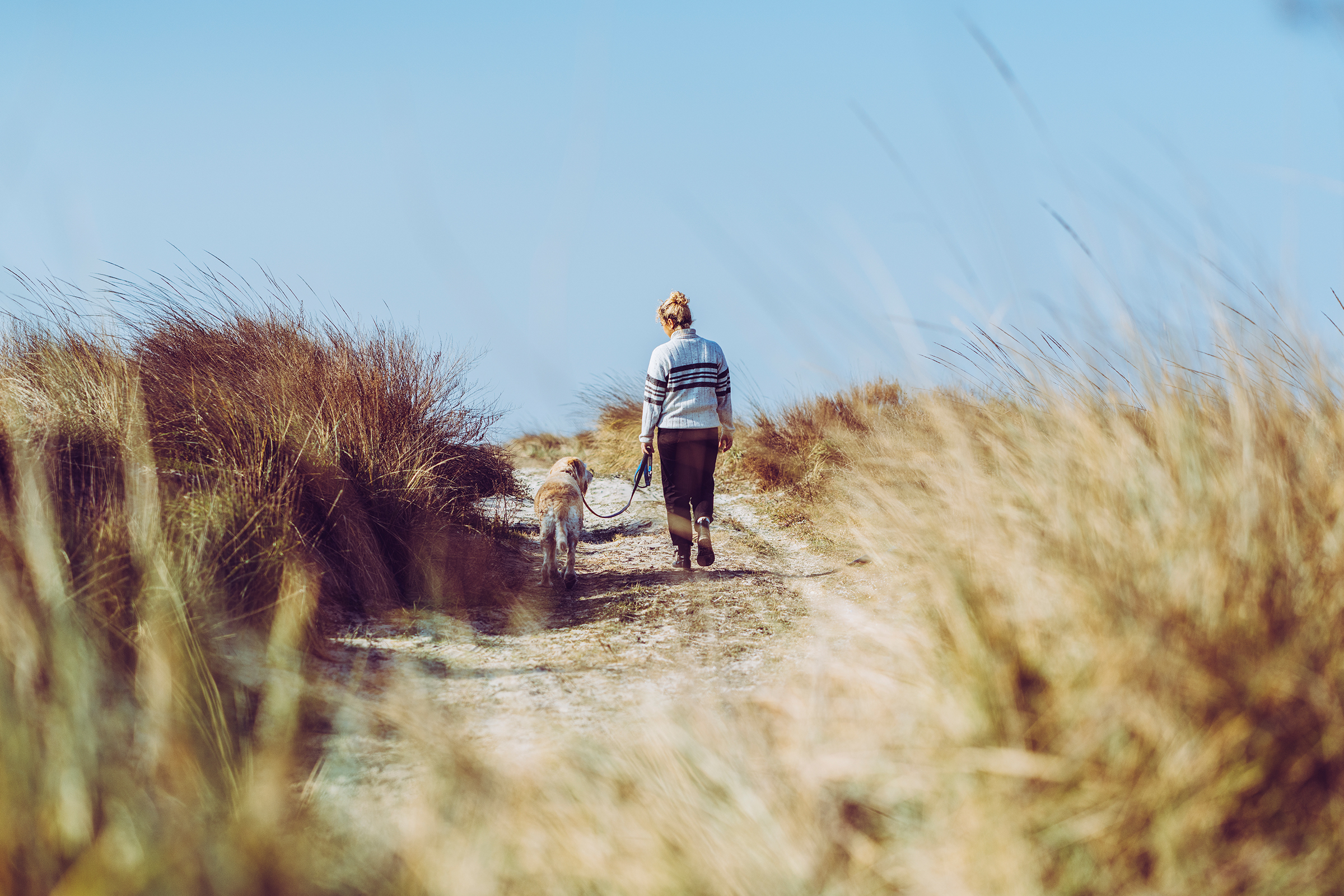 Woman with dog on beach