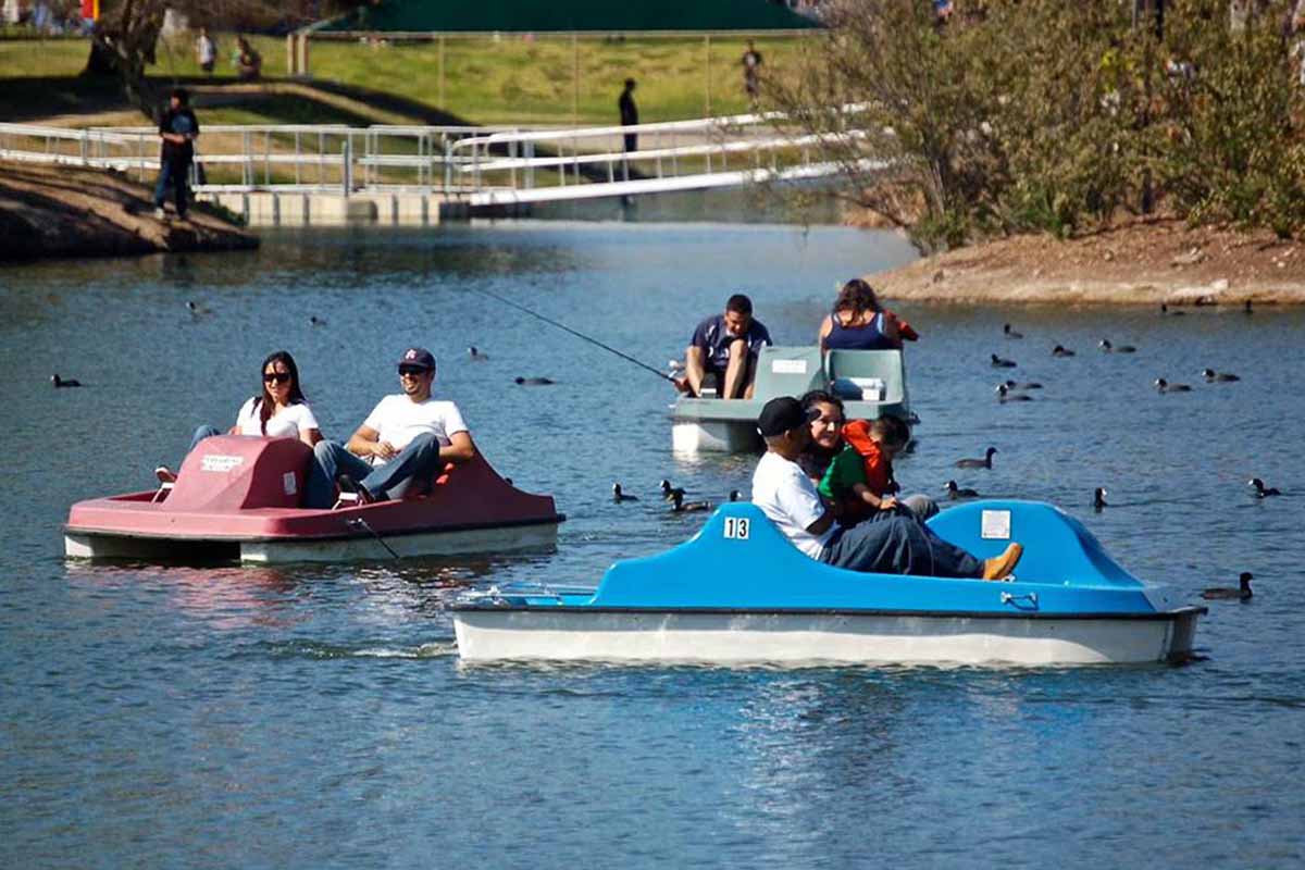 Pedal boats.