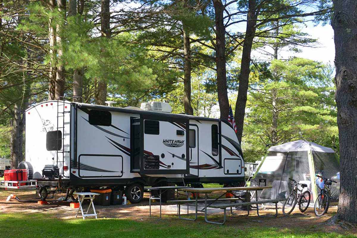 Travel trailer under lush greenery.