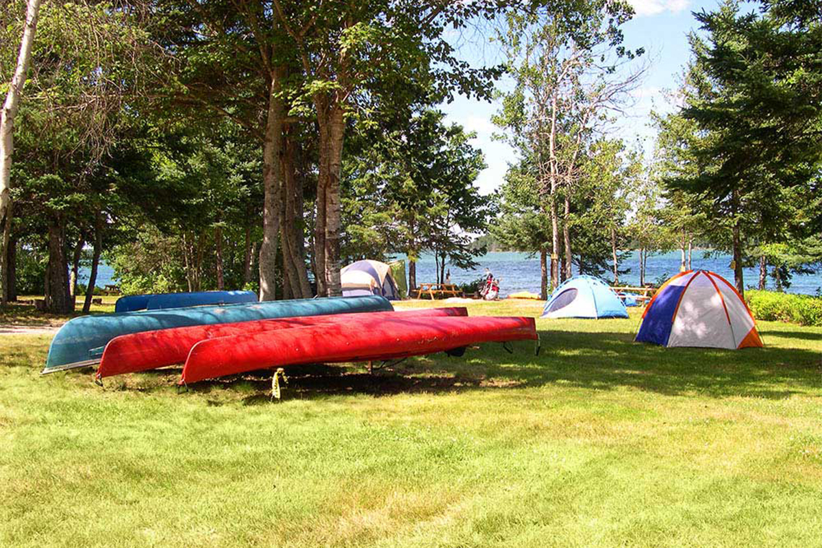 Colorful canoes sitting on racks.