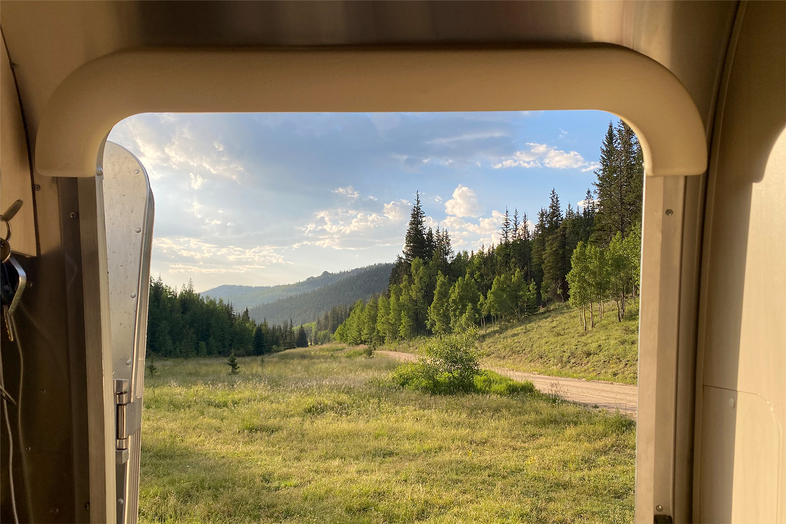 View of forest out campervan window