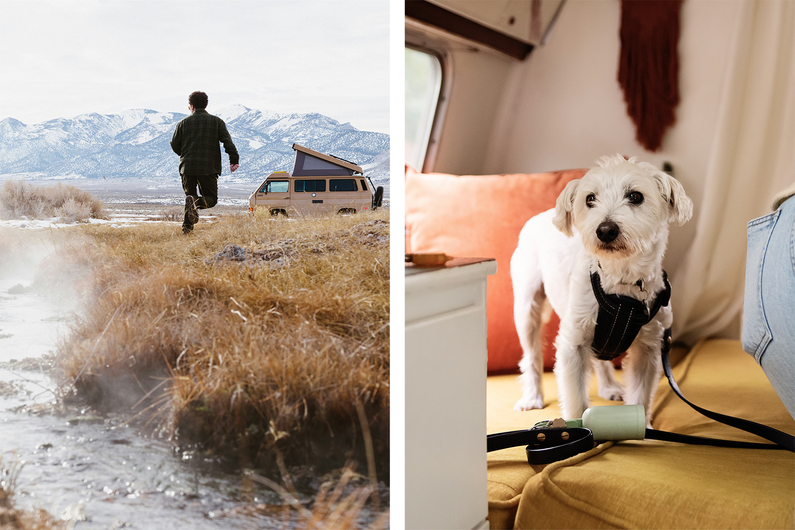 Campervan in mountains with dog