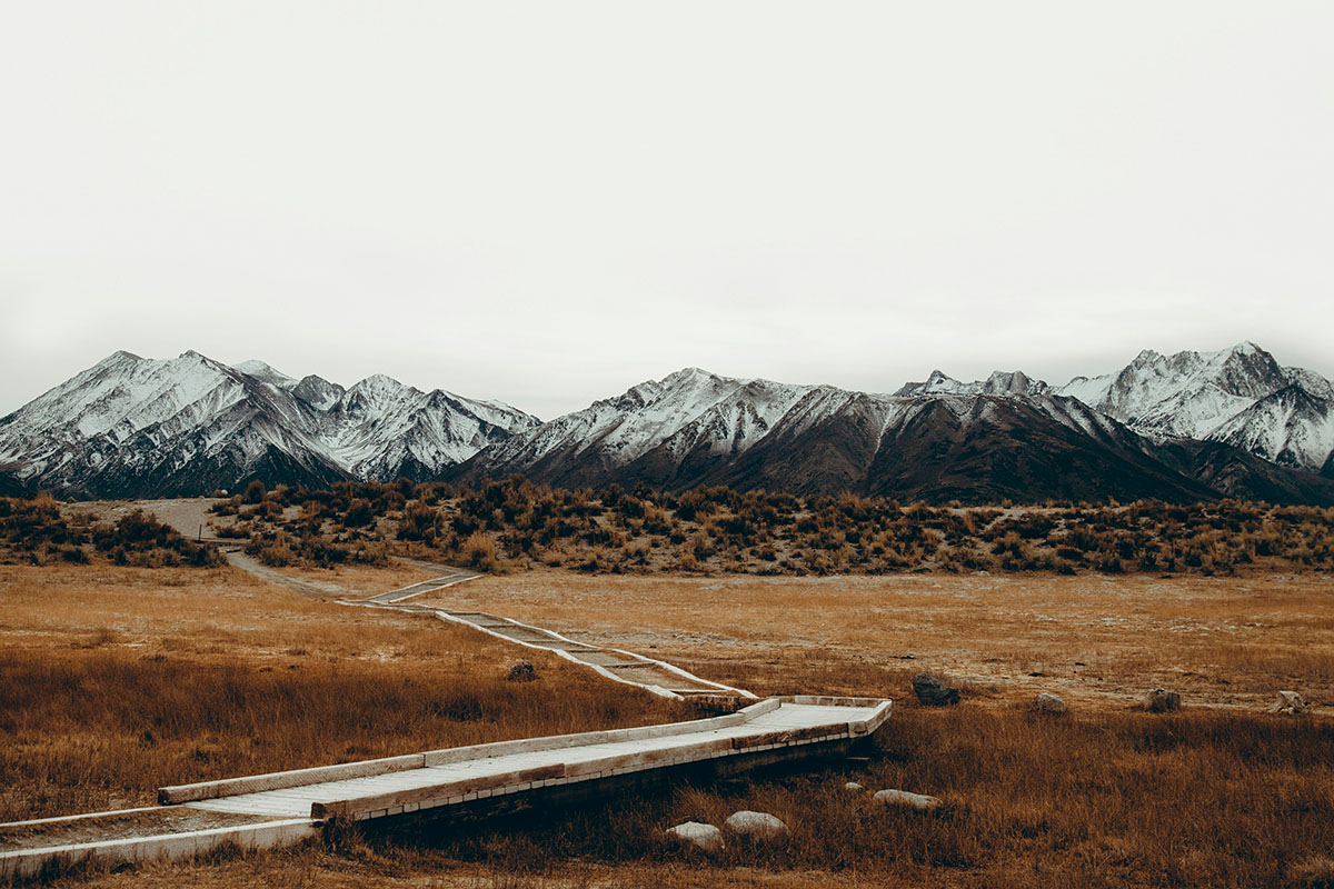 A wooden raised path leading to mountains.