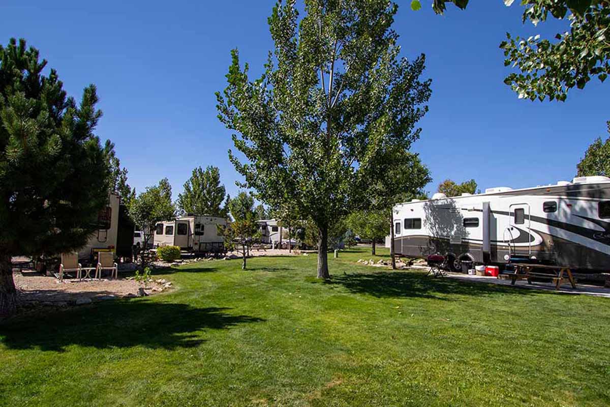 RVs parked amid lush, fresh grass.